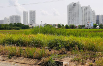 Bất động sản 24h: Khó thu hồi dự án bỏ hoang