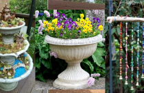 Ý tưởng thiết kế khu vườn tràn ngập sắc xuân