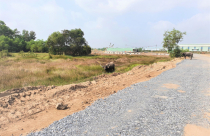 Khách hàng đứng trước nguy cơ 'tiền mất, tật mang' ở dự án Hamilton Garden