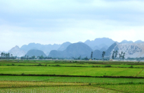 Điều kiện cấp sổ đỏ cho đất nông nghiệp năm 2021