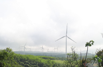 Thủ phủ điện gió Việt Nam: Khó tin 1 sào đất đồi hét giá 4 tỷ đồng