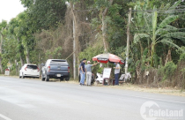 Để không thành “Gà” trong cơn sốt đất