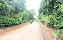 Luật Đất đai có nhiều vướng mắc cần sửa đổi