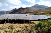 Chính sách “méo mó” vì không hậu kiểm