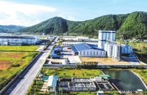 Đô thị Kinh Bắc đặt lế hoạch lợi nhuận 2.000 tỷ đồng năm 2021