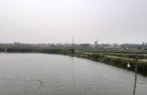 Dự án nạo vét sông Cổ Cò: Người dân vùng giải tỏa mong muốn được đối thoại với Chủ tịch tỉnh Quảng Nam