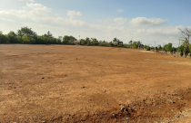 Gia Lai cảnh báo 'xẻ' đất nông nghiệp, tự phân lô bán