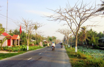 Hậu Giang mời đầu tư khu đô thị mới 15ha