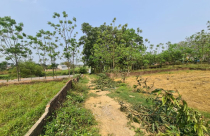 "Sốt đất" hạ nhiệt: Kẻ 'cắt lỗ', người 'găm tiền' chờ bắt đáy