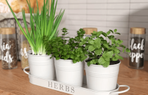 5 cách đơn giản giúp căn bếp trở nên sinh động hơn trong mùa hè