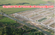 Đồng Nai: “Bít đường” tách thửa đất nông nghiệp để bán chui