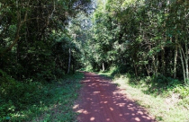 Đồng Nai đưa 139ha đất rừng vào quy hoạch đất ở