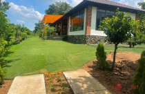 Dựng nhà vườn đẹp đẽ 3ha, bị kiểm tra, chủ nhà nói chỉ là 'chuồng chó'