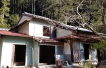 Đất nước có giá nhà 500 USD một căn mà vẫn ế