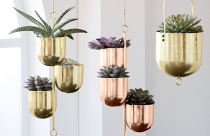 Thiết kế giỏ cây treo mang lại vẻ đẹp cho không gian