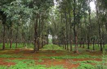 Đắk Lắk "chốt" hơn 25.429 tỷ đồng vốn đầu tư công giai đoạn 2021 – 2025