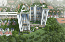 Bình Định thu hồi quyết định chấp thuận chủ trương đầu tư dự án Nhà ở xã hội Bông Hồng