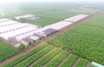 Quảng Ninh sẽ có khu nông nghiệp công nghệ cao 106ha