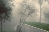 Ngôi nhà tối giản ẩn cư đúng nghĩa giữa rừng thông tại Mexico