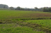 Quy định việc sử dụng đất nông nghiệp vào mục đích công ích