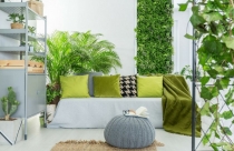 Xu hướng trang trí năm 2022: Vườn thẳng đứng trong nhà