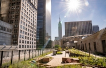 Thị trường văn phòng tiếp tục chịu ảnh hưởng từ đại dịch, chủ đầu tư “cắt máu” để thu hút khách thuê