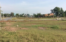 Có đất trồng cây lâu năm nhưng không sử dụng, có bị xử phạt?