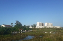 Vụ nghịch lý giá trị đất tăng cao theo thời gian nhưng giá đền bù giảm sâu: UBND tỉnh Quảng Nam chỉ đạo nóng!