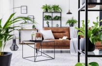 “Chìa khóa” để có một ngôi nhà mát mẻ hơn trong mùa hè này