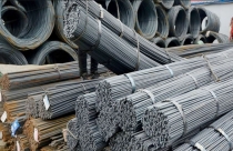Dự báo về ngành thép Đông Nam Á tháng 03/2022