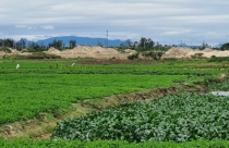 Đà Nẵng: Để tránh sập bẫy cò chuyển mục đích đất nông nghiệp sang đất ở, người dân cần biết thông tin này!