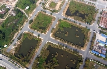 Dự kiến bổ sung quy định mới về đấu giá quyền sử dụng đất