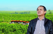 Lộ diện doanh nghiệp “bí ẩn” rót 1.000 tỷ mua cổ phiếu công ty bầu Đức