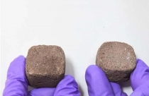 Ấn Độ chế tạo ‘gạch từ vi khuẩn’ dùng để xây nhà trên sao Hỏa