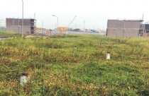 Hỏi về quy định thuê đất, giao đất