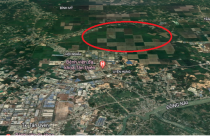 Bình Dương thông qua nghị quyết quy hoạch 1/5000 khu công nghiệp VSIP III