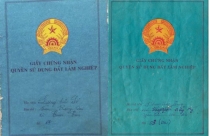 Sổ xanh và những quy định cần biết