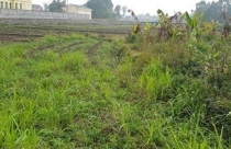 Thái Nguyên muốn “hồi sinh” dự án hơn 4.000 tỉ đồng tại Phổ Yên