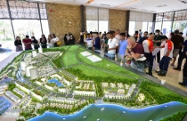 Lượng tìm kiếm thị trường Bình Châu Hồ Tràm bất ngờ tăng vọt tại phía Bắc