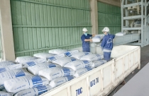 Xi măng đồng loạt tăng giá bán trong tháng 6