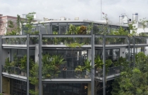 Cải tạo biệt thự cũ thành tòa nhà văn phòng mở len lỏi mảng xanh tại Quận 3