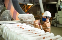 Siết tín dụng bất động sản ảnh hưởng đến lợi nhuận ngành xi măng