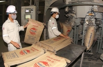 Giá bán tăng cao, tiêu thụ xi măng gặp khó