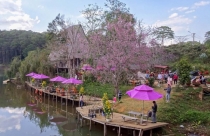 Quy hoạch mới mở ra cơ hội phát triển mới cho Khu du lịch Măng Đen tại Kon Tum