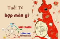 Tuổi Tý hợp màu gì? Chọn màu nội thất nhà ở phù hợp