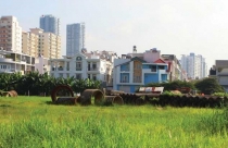 Trường hợp nào giao đất, cho thuê đất không cần qua đấu giá, đấu thầu?