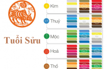 Tuổi Sửu hợp màu gì? Màu nội thất nhà hợp phong thủy