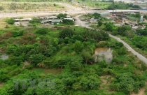 Thêm 20 thửa đất tại Mê Linh đấu giá thành công, cao nhất hơn 70 triệu đồng/m2