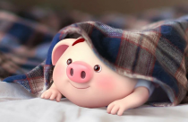 Chọn màu sắc nội thất hợp phong thủy cho gia chủ Tuổi Hợi