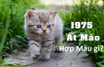 Màu sắc nội thất hợp phong thủy cho gia chủ tuổi Mão